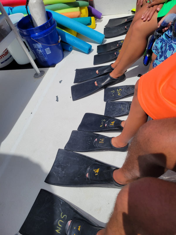 The Article About Snorkeling as a Family I wish Existed